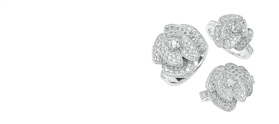 ROSELLINA（ロゼッリーナ）画像