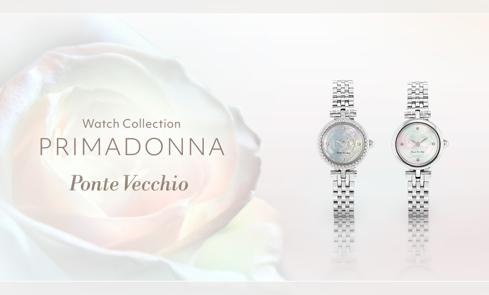 WATCH COLLECTION（ウォッチコレクション）