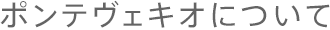 ポンテヴェキオについて