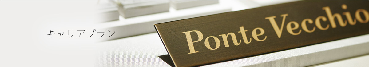 キャリアプラン