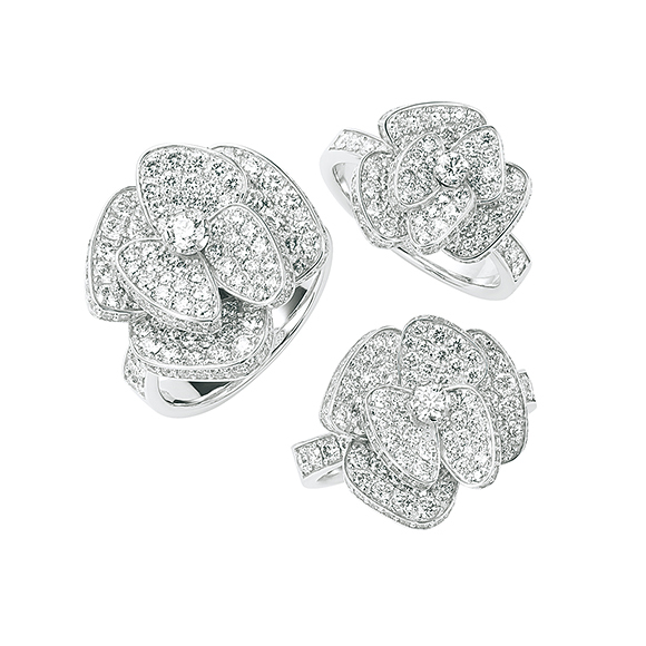 コレクションシリーズ一覧