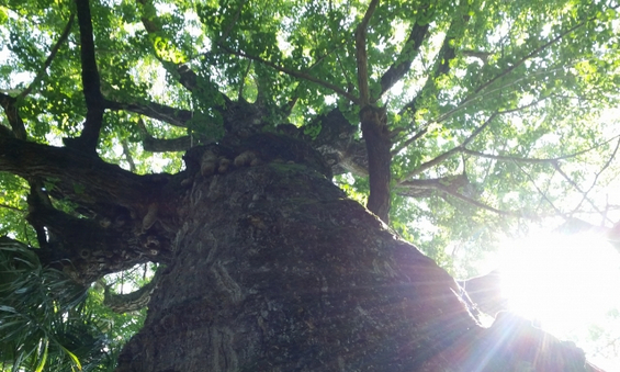 旅先の美しい自然の中やパワースポット