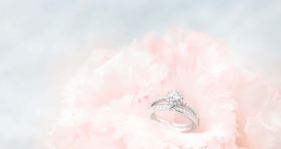 プロポーズには、指輪？花束？